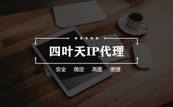 【徐州代理IP】如何快速搭建代理IP？怎么检查代理的效果？